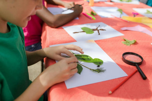 10 Creative Summer Art Projects for Homeschool Families to Spark Imagination