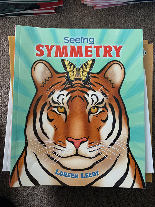 Seeing Symmetry Book