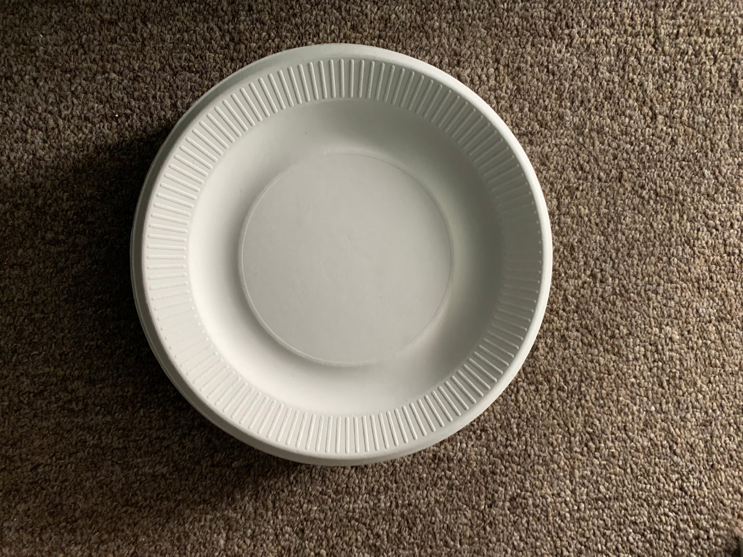 Compostable 8" Plates